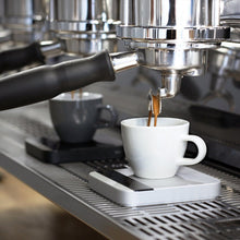 Load image into Gallery viewer, Lunar